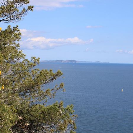 Studio L'Echappee Mandreenne Le Calme Entre Mer Et Foret Saint-Mandrier-sur-Mer Exterior foto