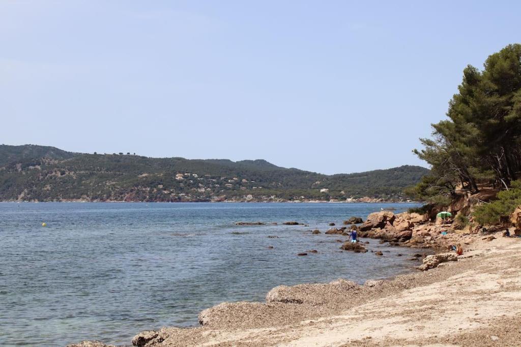 Studio L'Echappee Mandreenne Le Calme Entre Mer Et Foret Saint-Mandrier-sur-Mer Exterior foto
