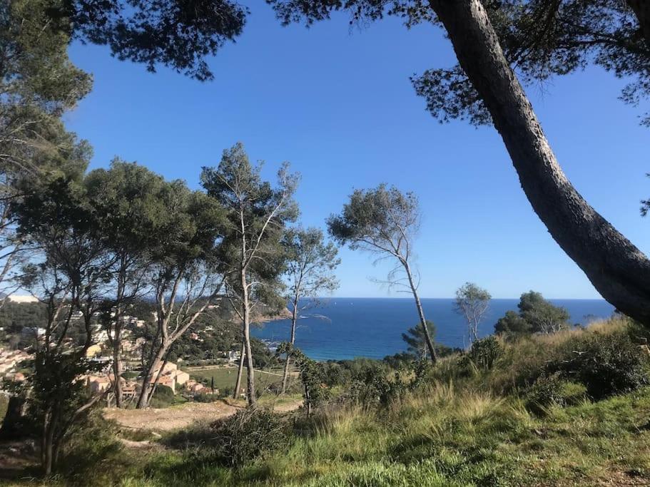Studio L'Echappee Mandreenne Le Calme Entre Mer Et Foret Saint-Mandrier-sur-Mer Exterior foto