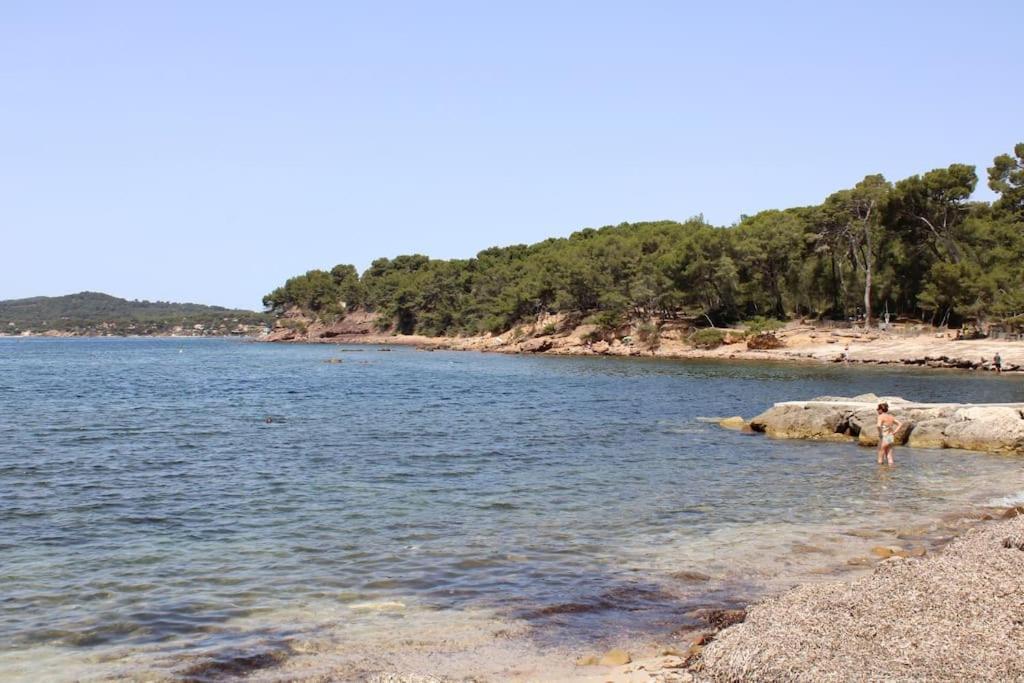 Studio L'Echappee Mandreenne Le Calme Entre Mer Et Foret Saint-Mandrier-sur-Mer Exterior foto